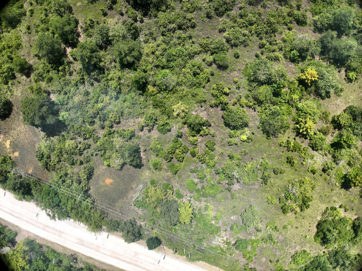 Drone 3d model of Gintong Butil Agrifarm DA BFAR Inland Sea Ranching Station in Barangay San Miguel Aerial drone 3d model in Puerto Princesa City, Mimaropa, PH