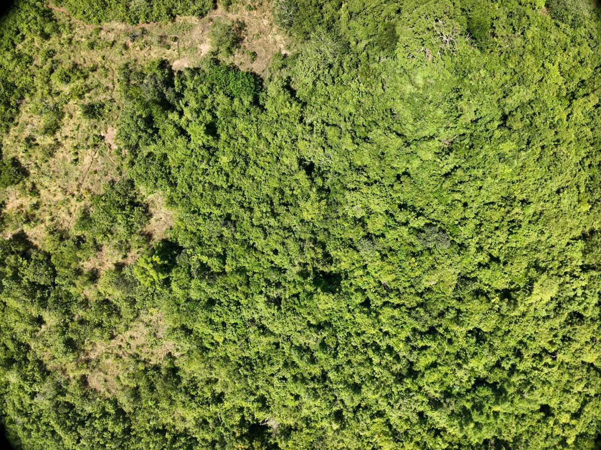 Drone 3d model of Montible bridge 2 Looban in montible bridge Aerial drone 3d model in Puerto Princesa City, Mimaropa, PH