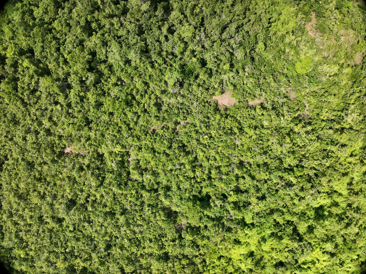 Drone 3d model of Napsan Intersection Batching Plant in montible bridge Aerial drone 3d model in Puerto Princesa City, Mimaropa, PH