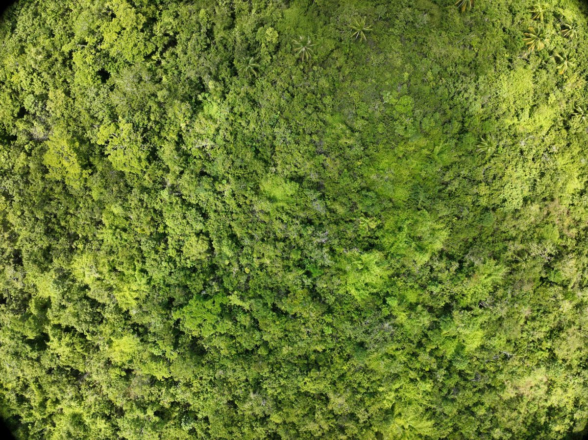 Drone 3d model of Napsan Intersection Batching Plant in montible bridge Aerial drone 3d model in Puerto Princesa City, Mimaropa, PH