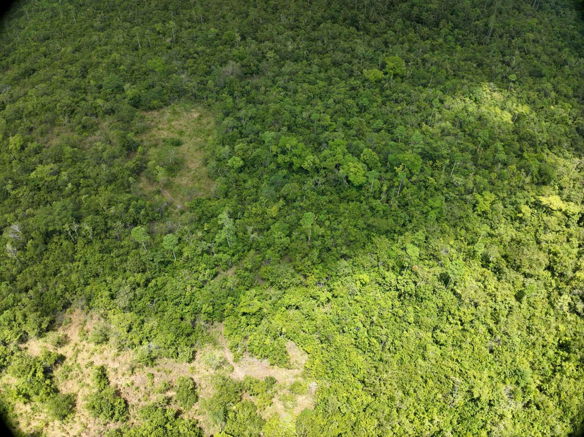 Drone 3d model of Napsan Intersection Montible bridge 2 in montible bridge Aerial drone 3d model in Puerto Princesa City, Mimaropa, PH