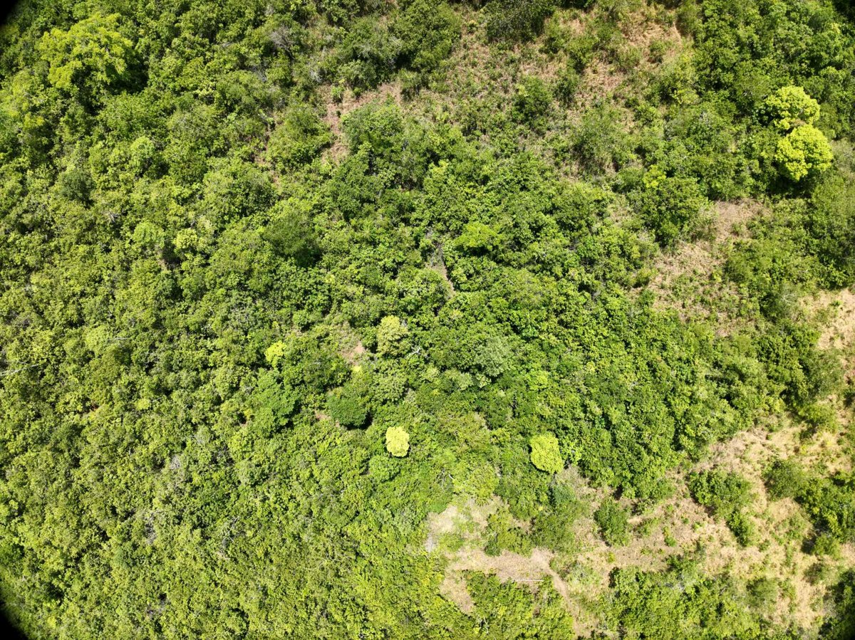 Drone 3d model of Napsan Intersection Montible bridge 2 in montible bridge Aerial drone 3d model in Puerto Princesa City, Mimaropa, PH