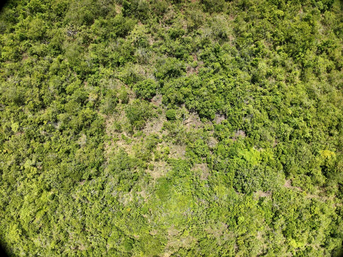 Drone 3d model of Napsan Intersection Montible bridge 2 in montible bridge Aerial drone 3d model in Puerto Princesa City, Mimaropa, PH