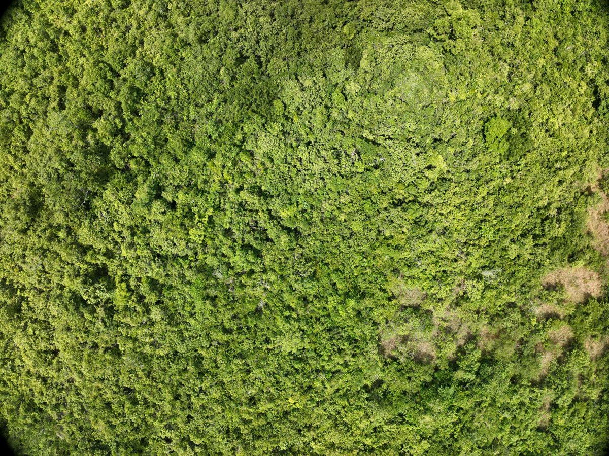 Drone 3d model of Napsan Intersection Montible bridge 2 in montible bridge Aerial drone 3d model in Puerto Princesa City, Mimaropa, PH