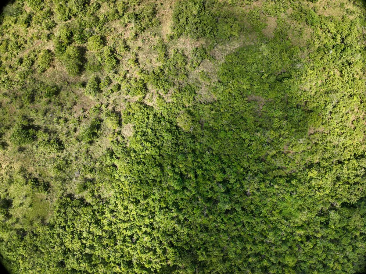 Drone 3d model of Napsan Intersection Montible bridge 2 in montible bridge Aerial drone 3d model in Puerto Princesa City, Mimaropa, PH