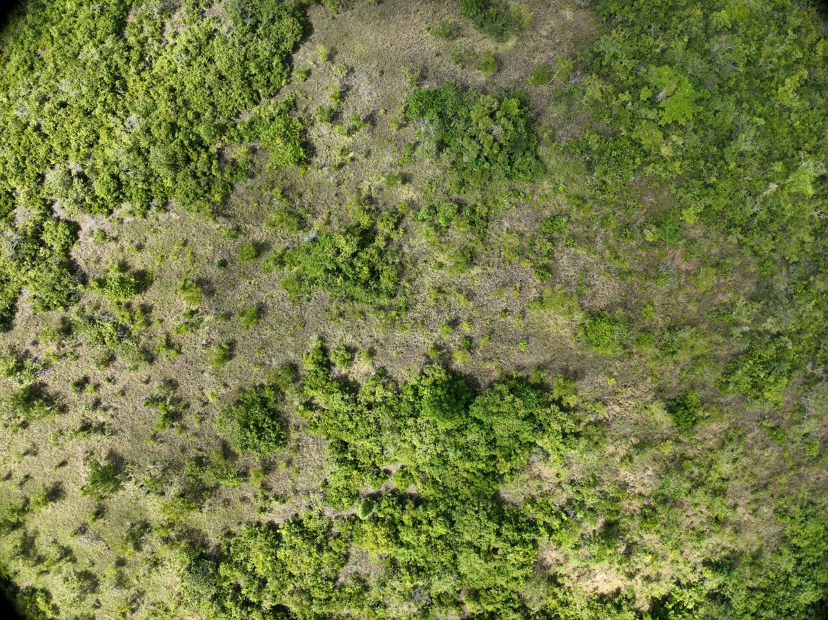 Drone 3d model of Napsan Intersection Batching Plant in saint joseph Aerial drone 3d model in Puerto Princesa City, Mimaropa, PH