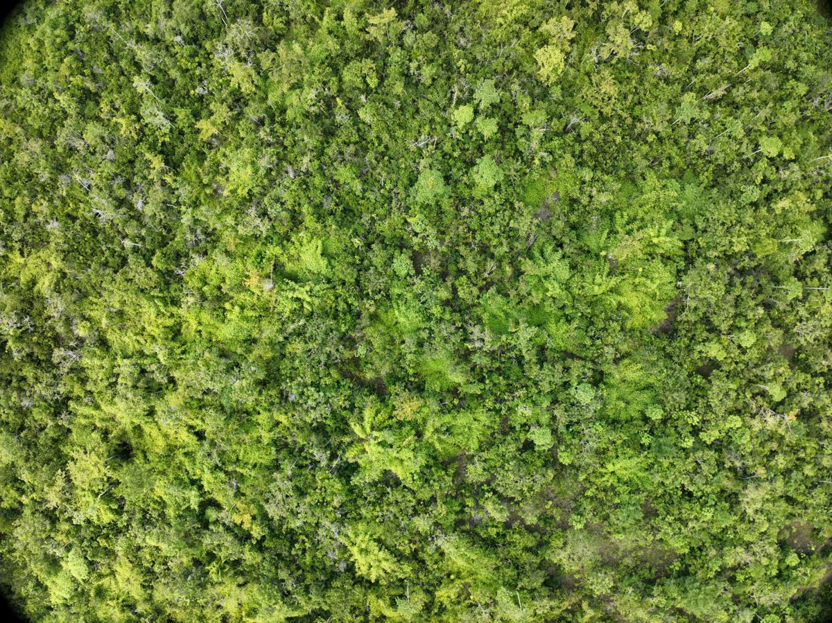 Drone 3d model of Napsan Intersection Batching Plant in saint joseph Aerial drone 3d model in Puerto Princesa City, Mimaropa, PH