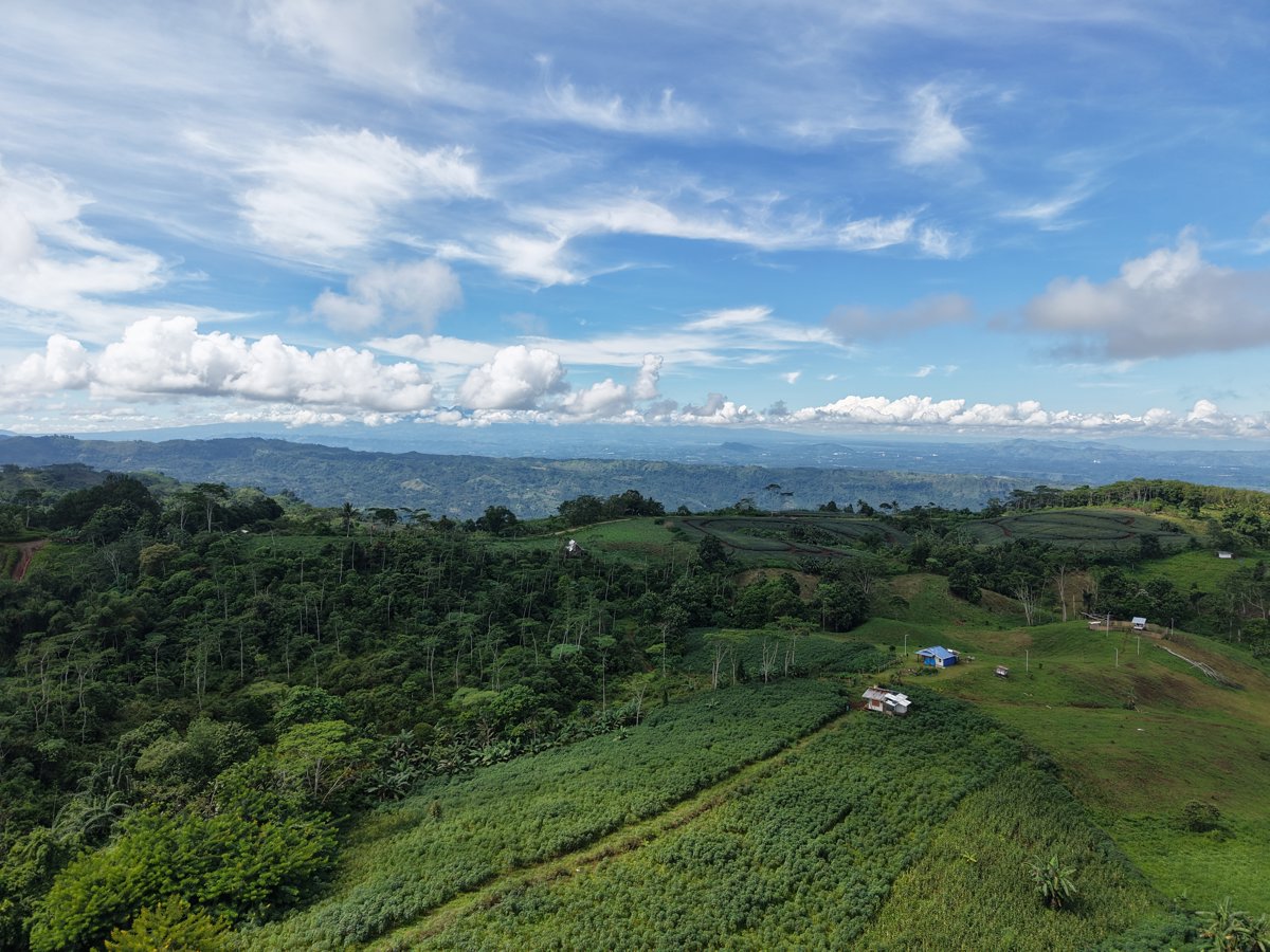 Drone 3d model of GOLDEN FARMSTEAD Min Sea Coffee farm resort in brgy. tuganay Aerial drone 3d model in Malitbog, Northern Mindanao, PH
