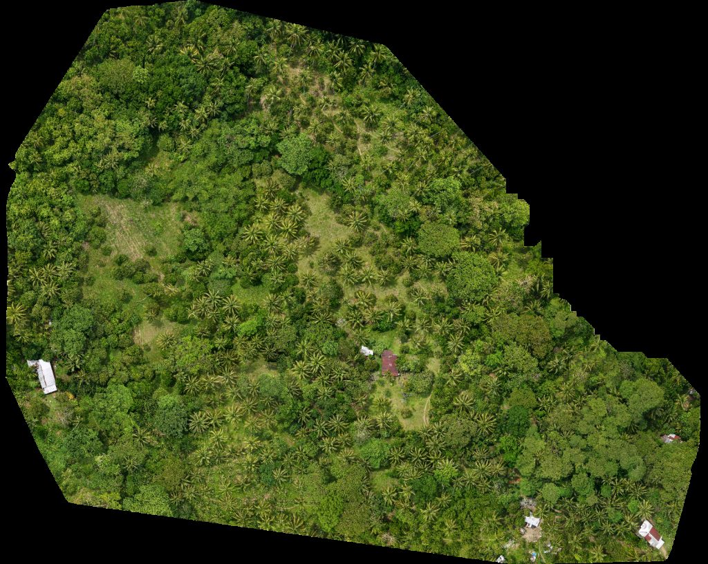 Drone map of Waste facility Benhaan Elementary School Aerial drone map in Mambajao, Northern Mindanao, PH