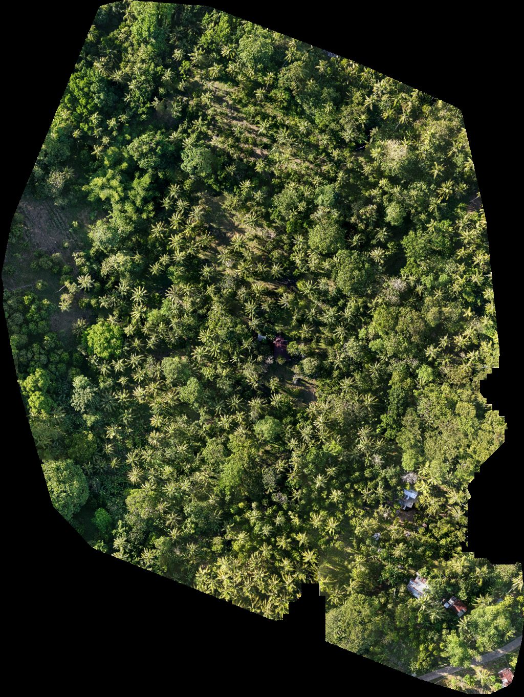 Thumbnail preview for Drone Map of Waste Facility Benhaan Elementary School in Mambajao, Northern Mindanao, Philippines