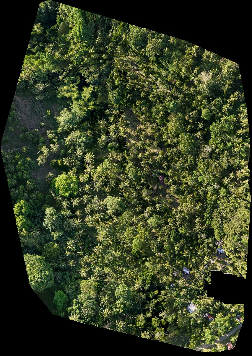 Thumbnail preview for Drone Map of Waste Facility Gavyn Poultry Farm in Mambajao, Northern Mindanao, Philippines