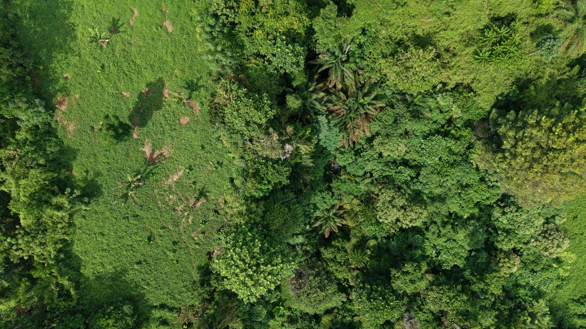 Drone 3d model of Udadin Falls Jia store Aerial drone 3d model in Kidapawan, Soccsksargen, PH