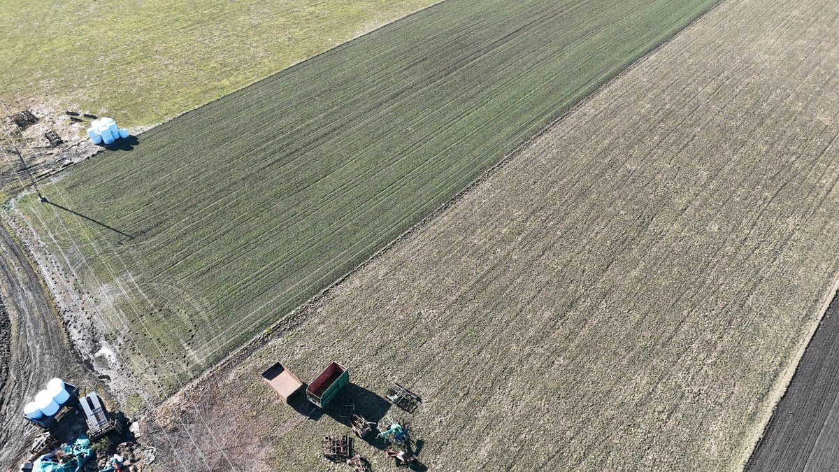 Drone 3d model of Ochotnicza Straż Pożarna Skup trzody ubojnia AR WO in skup trzody Aerial drone 3d model in Plemięta, Kuyavian Pomeranian Voivodeship, PL
