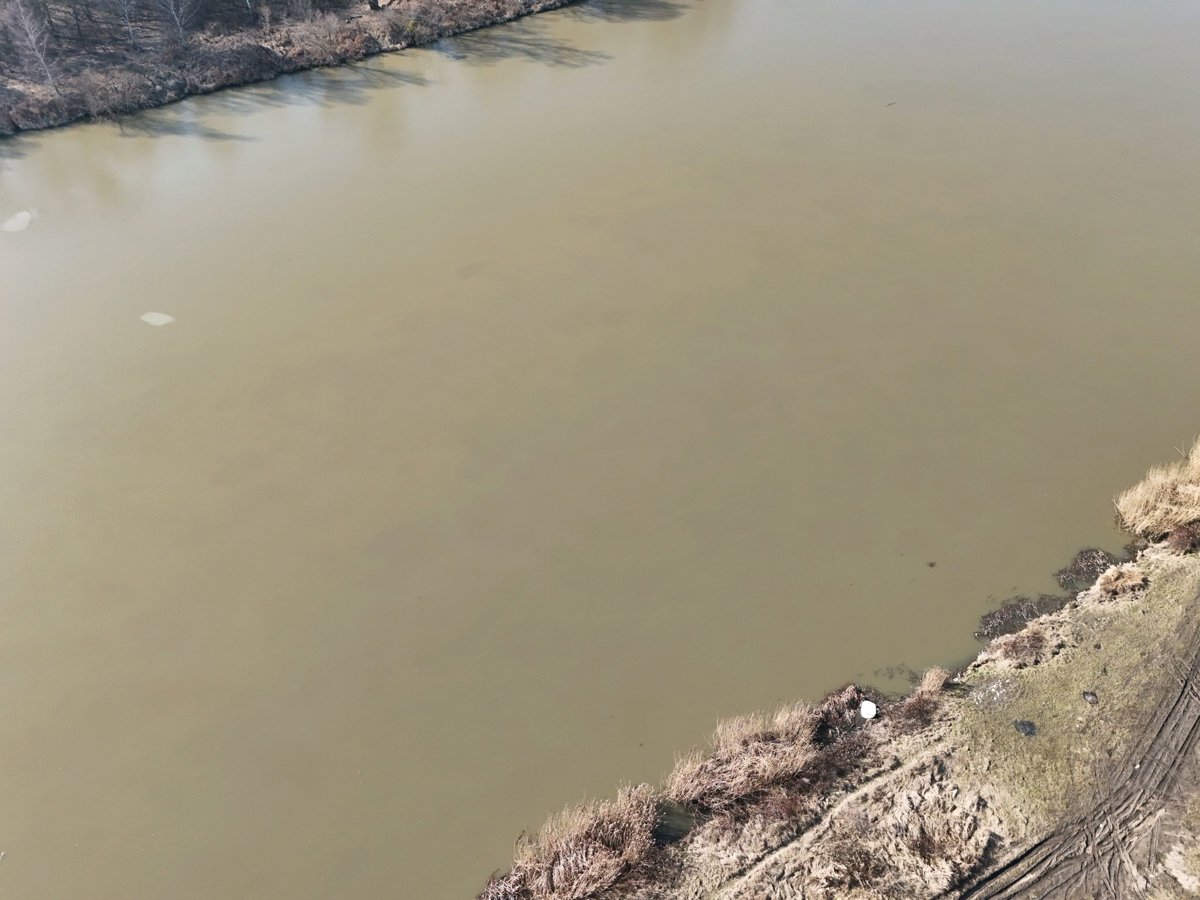 Drone 3d model of Dawna przystań parowców Polana Rekreacyjna w Lesie Osobowickim in Psie Pole Aerial drone 3d model in Wrocław, Lower Silesian Voivodeship, PL