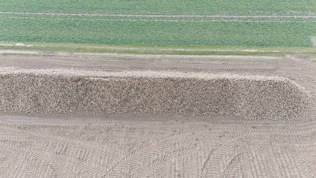 Drone 3d model of Parking Przychodnia Lekarska Larkmed Dytmarów Aerial drone 3d model in Lubrza, Opole Voivodeship, PL