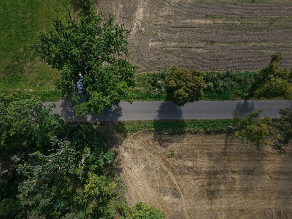 Drone 3d model of Otrol Sp z o Sołtys in sp z o Aerial drone 3d model in Czachówek, Pomeranian Voivodeship, PL