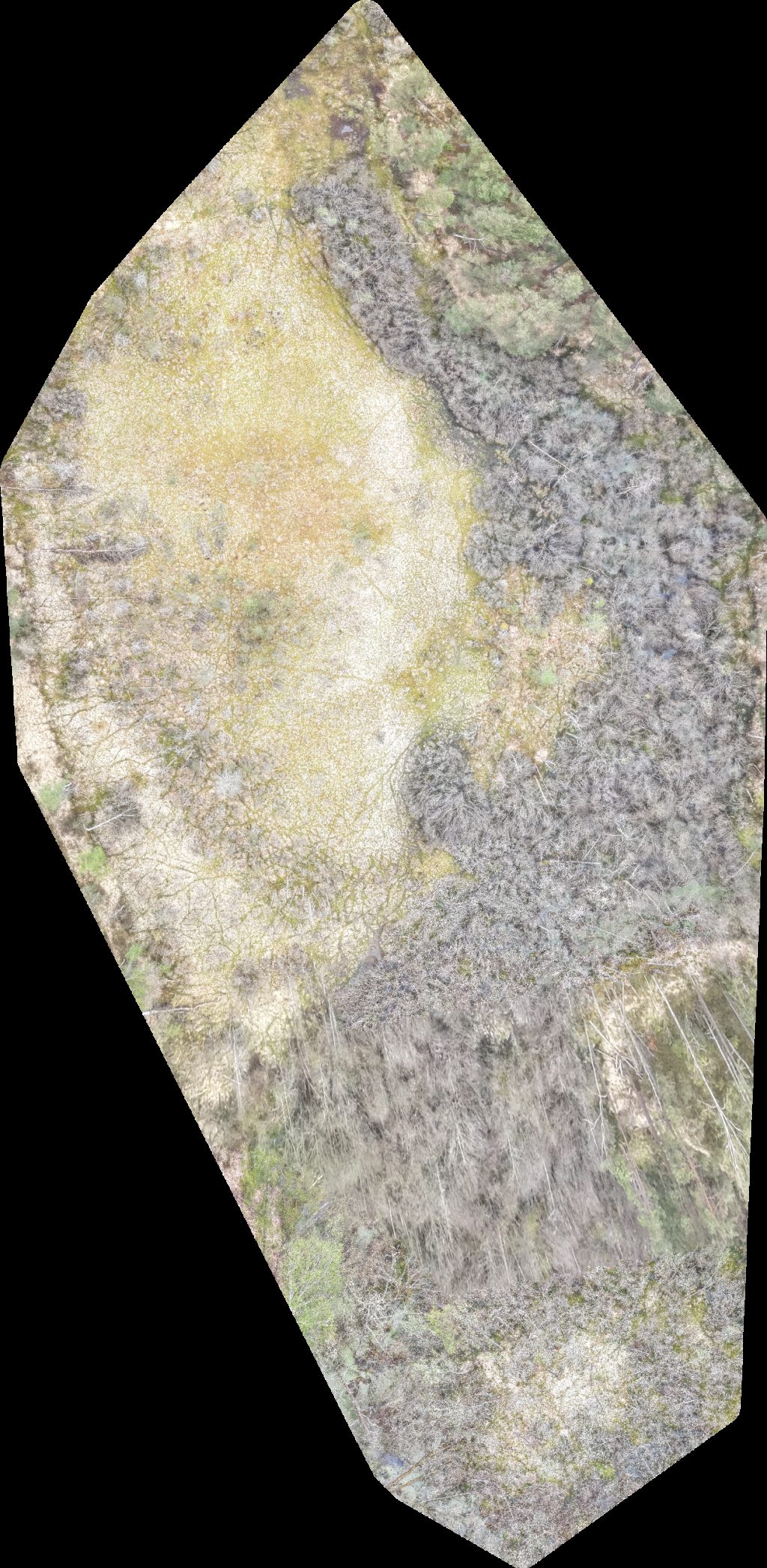 Drone map of Lake House Kaszubska Przystań Motocyklowa u Drewniaka Aerial drone map in Nożyno, Pomeranian Voivodeship, PL