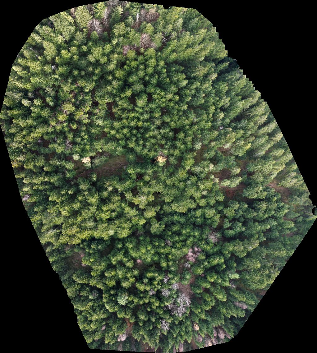 Drone map of Domek wypoczynkowy Arekamrat in 326 Aerial drone map in Jurków, Wojewodztwo Ma Opolskie, PL