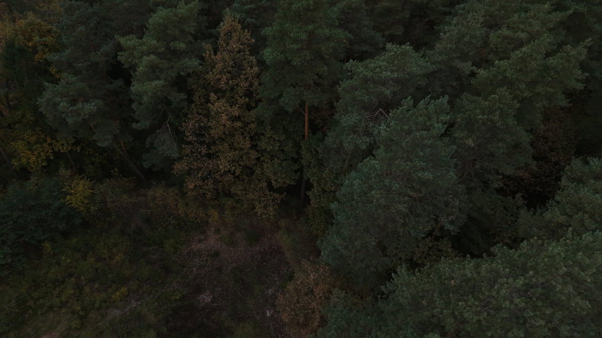 Drone 3d model of Malowanie artystyczne Aneta Urbanek Dom Przyjęć Izabela in 34 Aerial drone 3d model in Golemki, Wojewodztwo Podkarpackie, PL