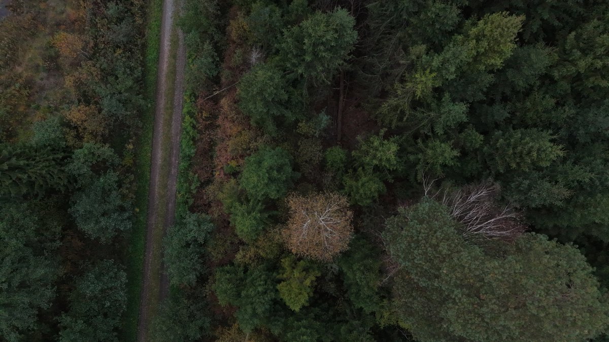 Drone 3d model of Gawra House Dziupla in 62 Aerial drone 3d model in Golemki, Wojewodztwo Podkarpackie, PL