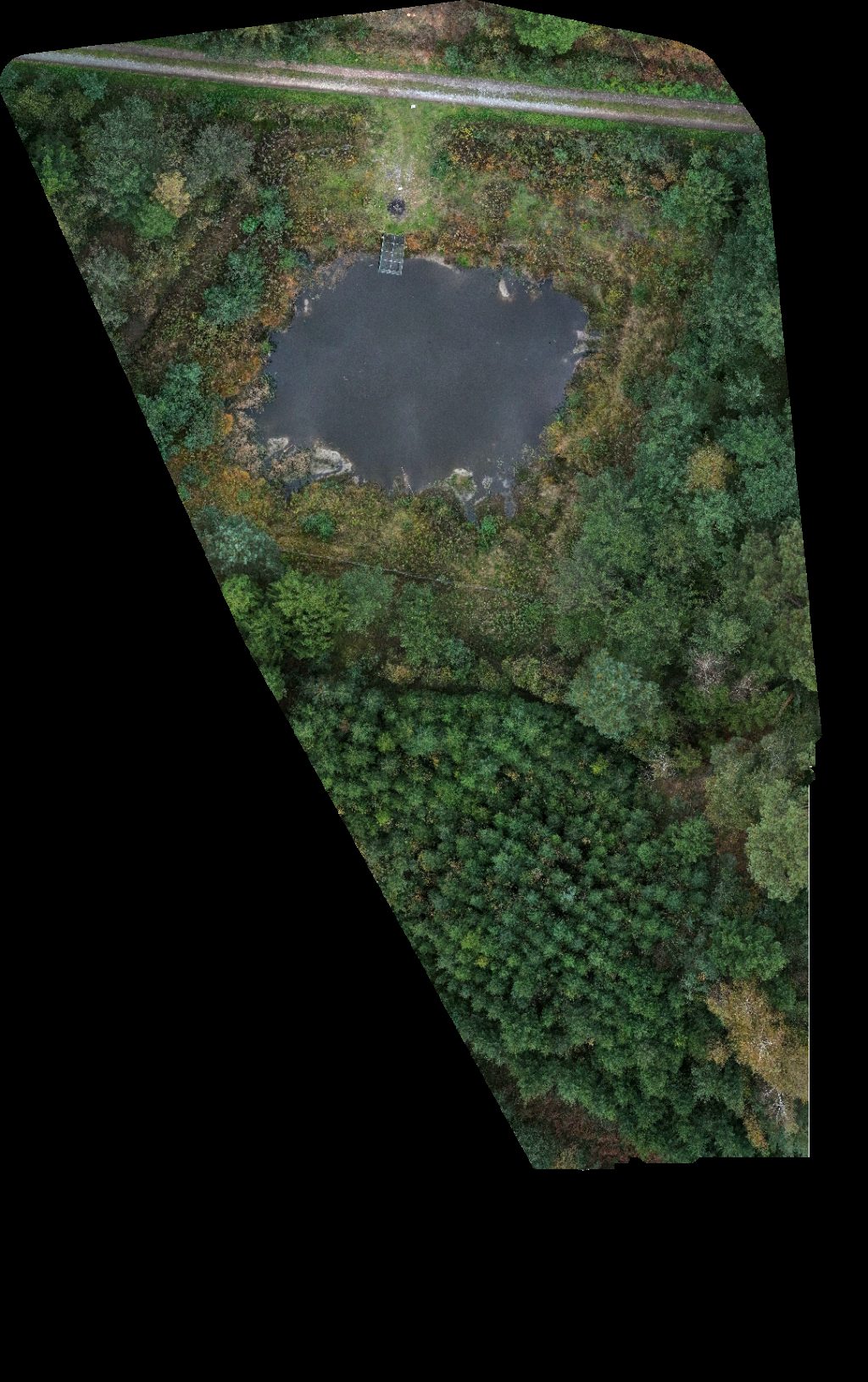 Drone map of Gawra House Dziupla in 62 Aerial drone map in Golemki, Wojewodztwo Podkarpackie, PL