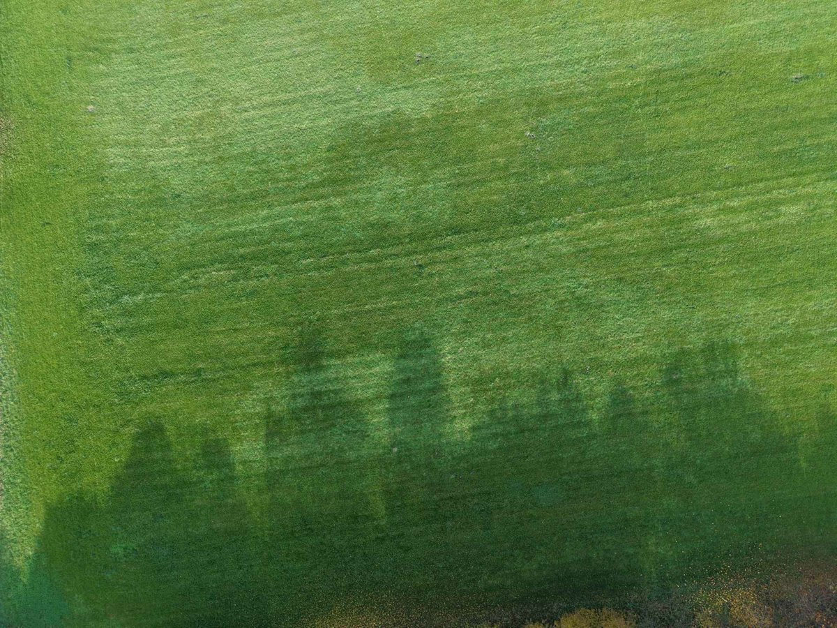 Drone 3d model of Argo Elektro pomiar ZPUH in osada jana chopina Aerial drone 3d model in Tarnowskie Góry, Wojewodztwo Slaskie, PL