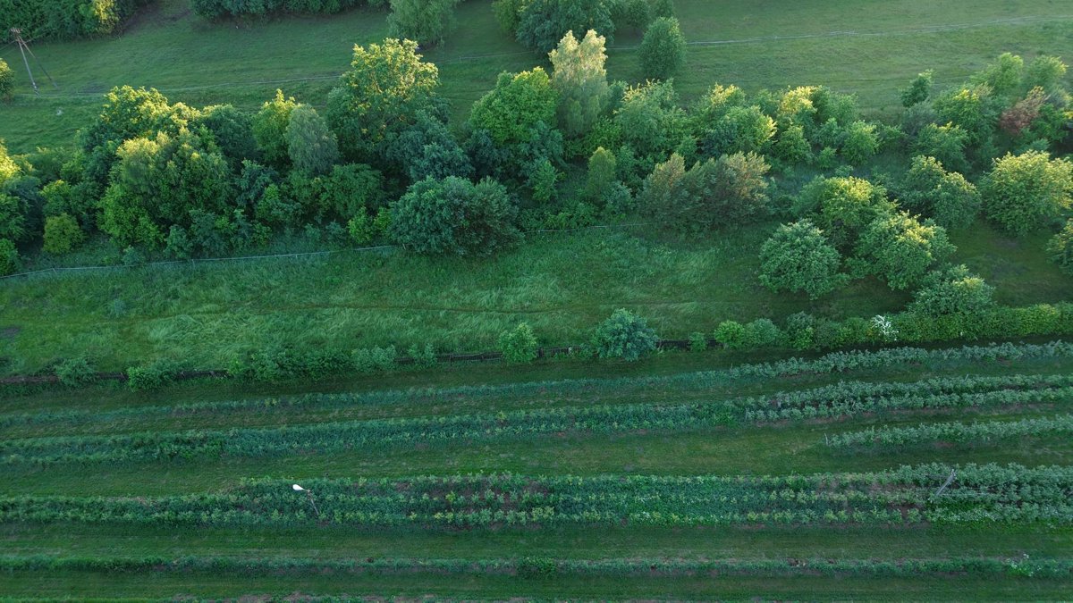 Drone 3d model of Zakład Pogrzebowy i Krematorium Arkadiusz Szymoniak Strzelecki Klub Sportowy Patria in 31 Aerial drone 3d model in Brzeście, Wojewodztwo Swietokrzyskie, PL