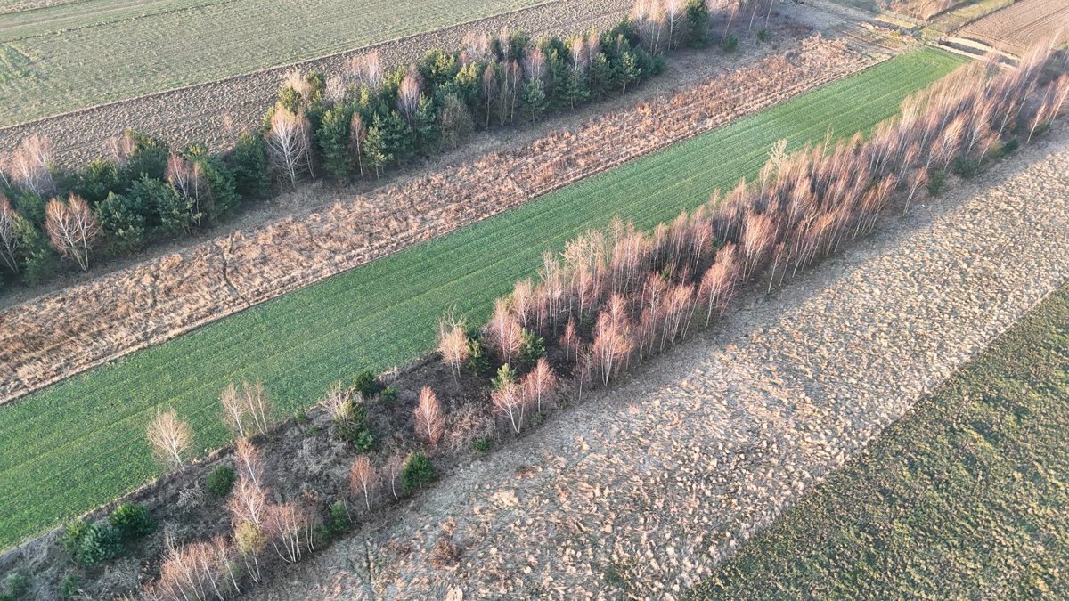 Drone 3d model of Gospodarstwo Pasieczne Mirsa Stowarzyszenie TWOJA SZANSA Aerial drone 3d model in Mirzec, Wojewodztwo Swietokrzyskie, PL