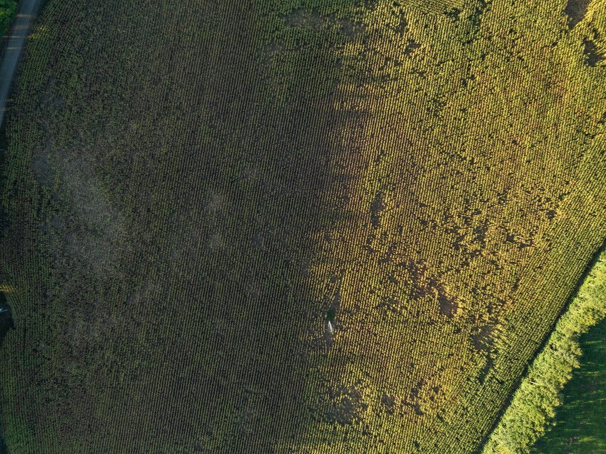 Drone 3d model of GA Cmentarz niemiecki in 4 Aerial drone 3d model in Grudzianka, Wojewodztwo Wielkopolskie, PL