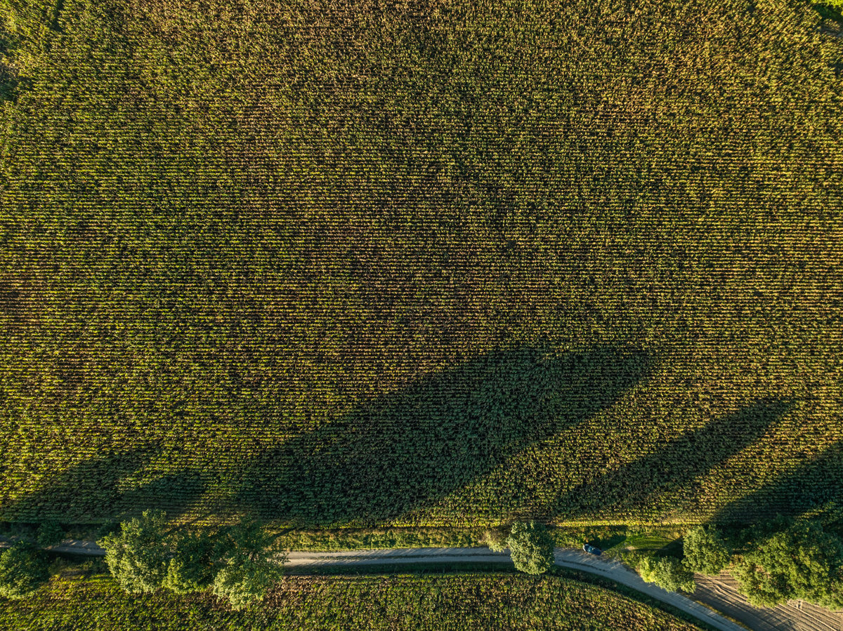 Drone 3d model of Lepsza Przyszłość Stowarzyszenie Pomocy i Integracji Bezrobotnych 7 in 68 Aerial drone 3d model in Władysławowo, Wojewodztwo Wielkopolskie, PL