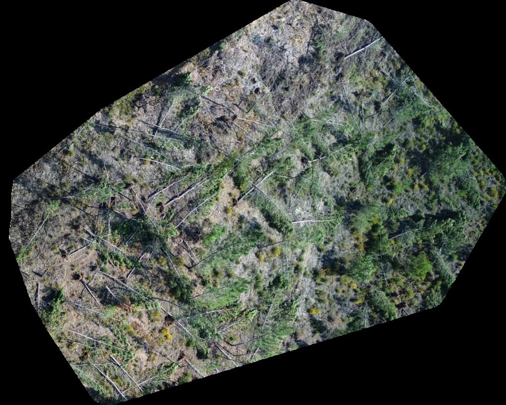 Drone map of 4 Tavares Azeite Polidesportivo do Malhadal in aldeia ruiva Aerial drone map in Carvalhal, Castelo Branco, PT