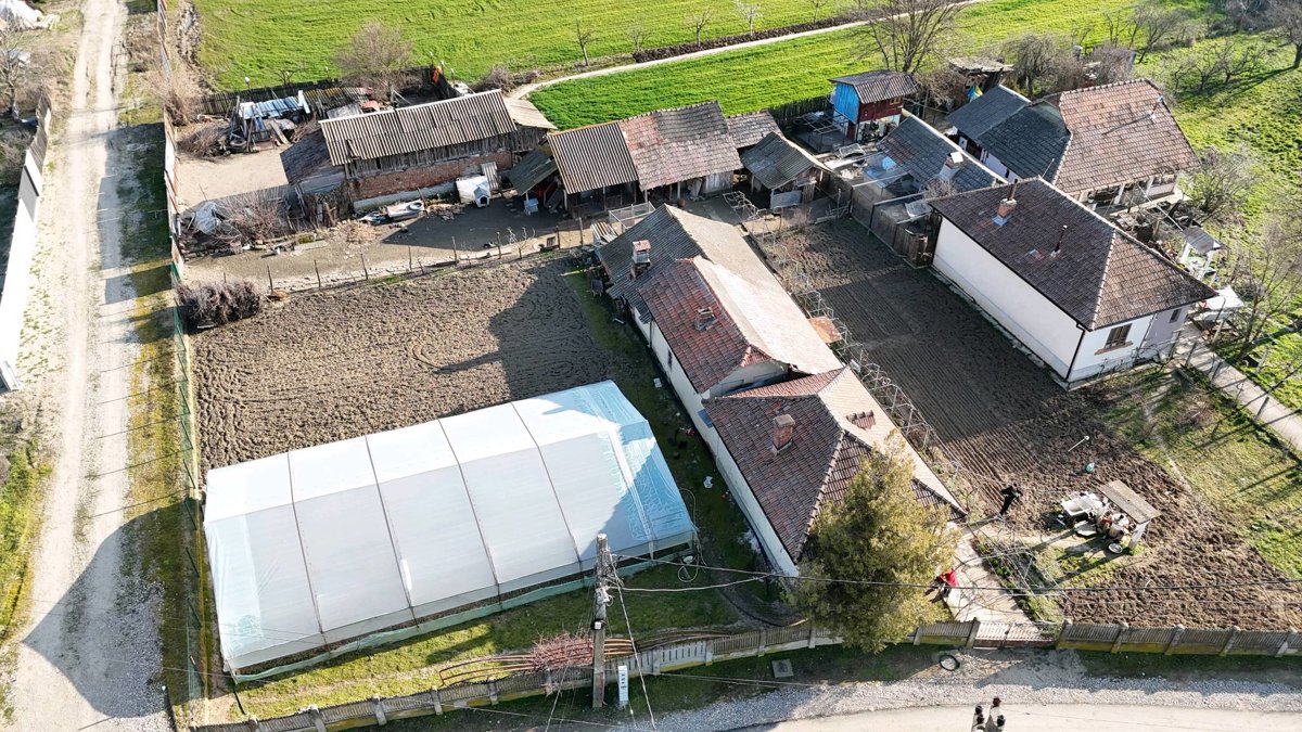 Drone 3d model of Pofticioșii Food More Market Glod in ortodoxă sfântul Aerial drone 3d model in Țuglui, Dj, RO