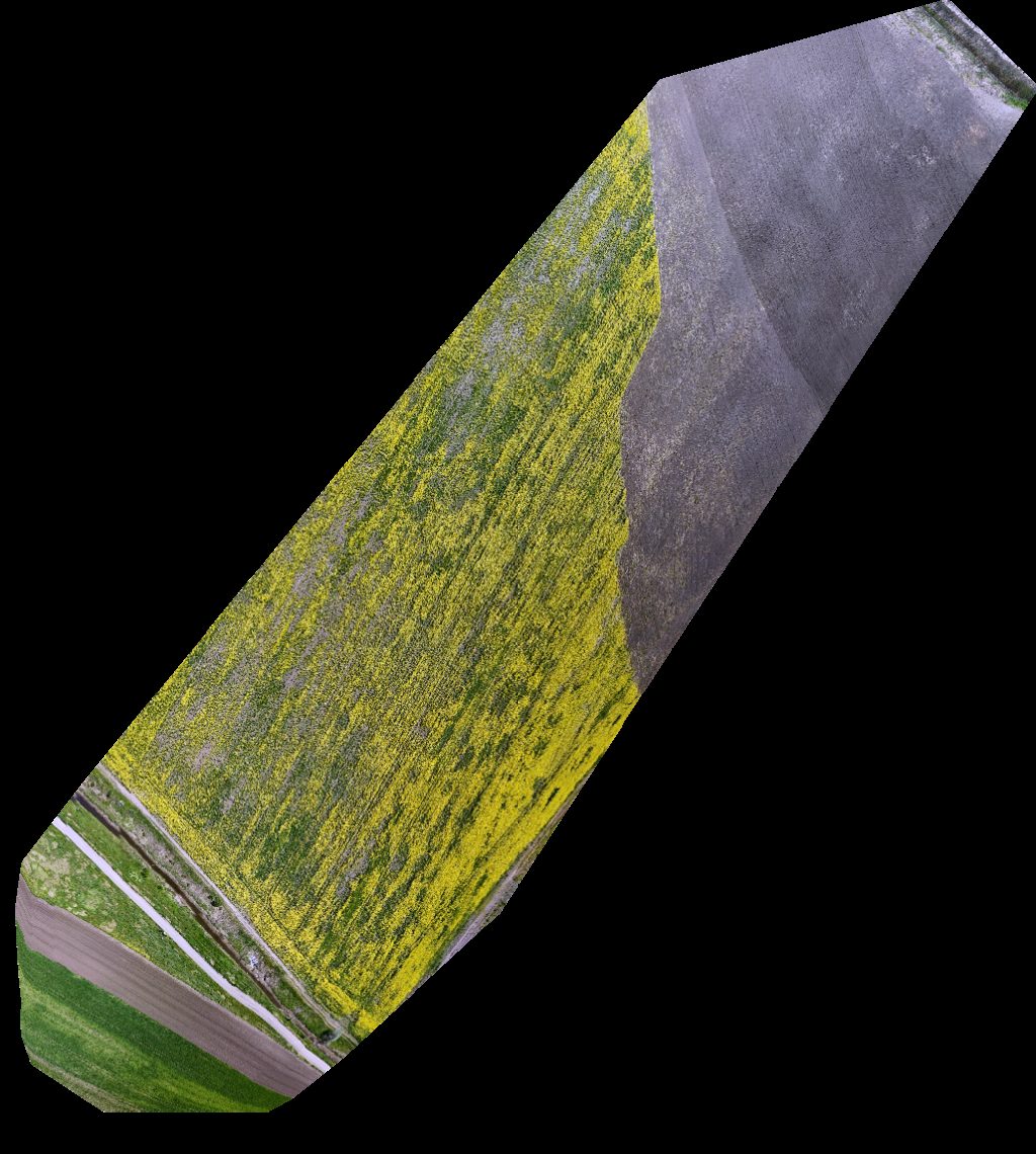 Drone map of Ferma apicolă Barbu II IANCU MIHAITA Aerial drone map in Traian, Il, RO