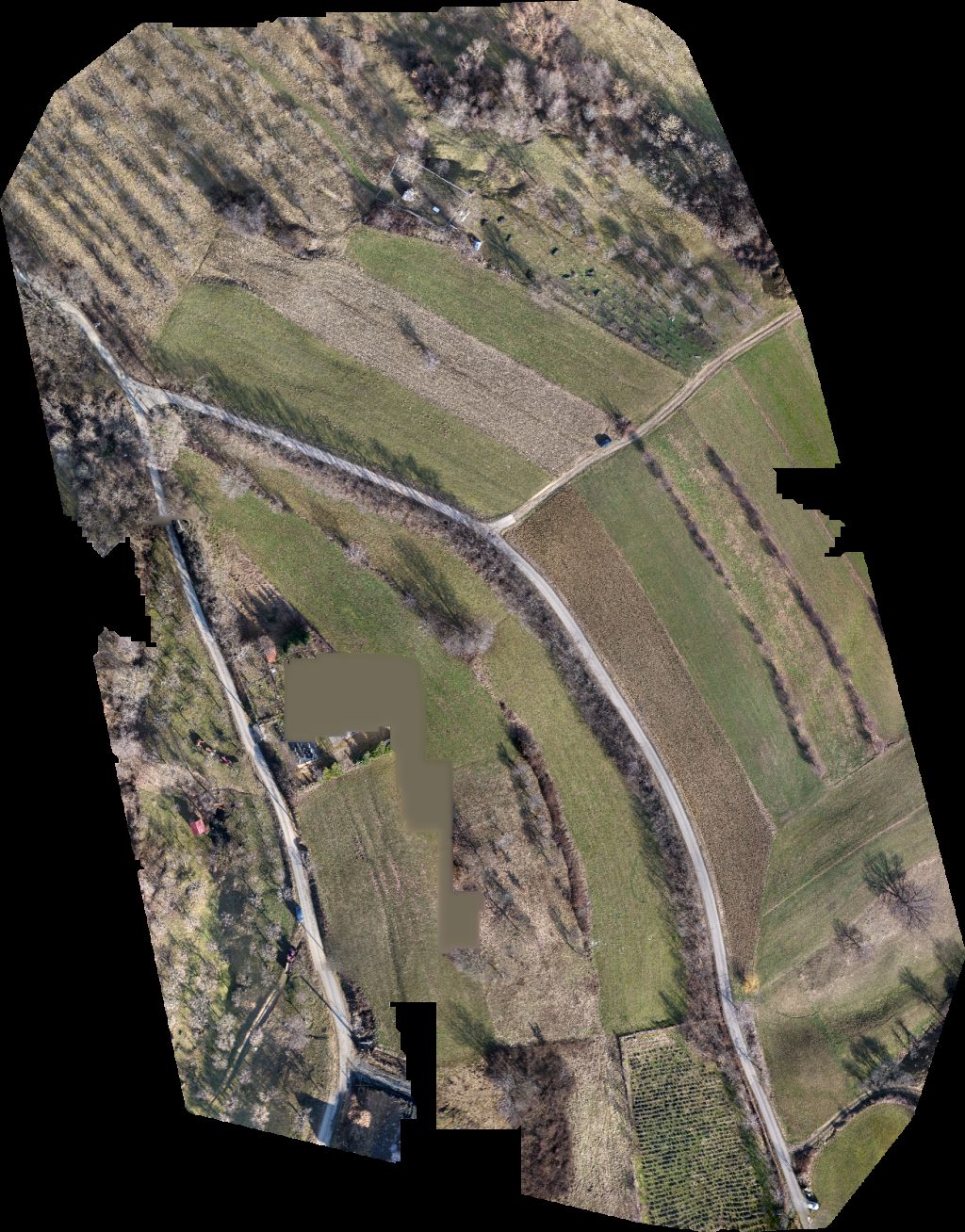 Drone map of Gielle Lavanda Amore Belvedere Munții Gutâi Aerial drone map in Groși, Mm, RO