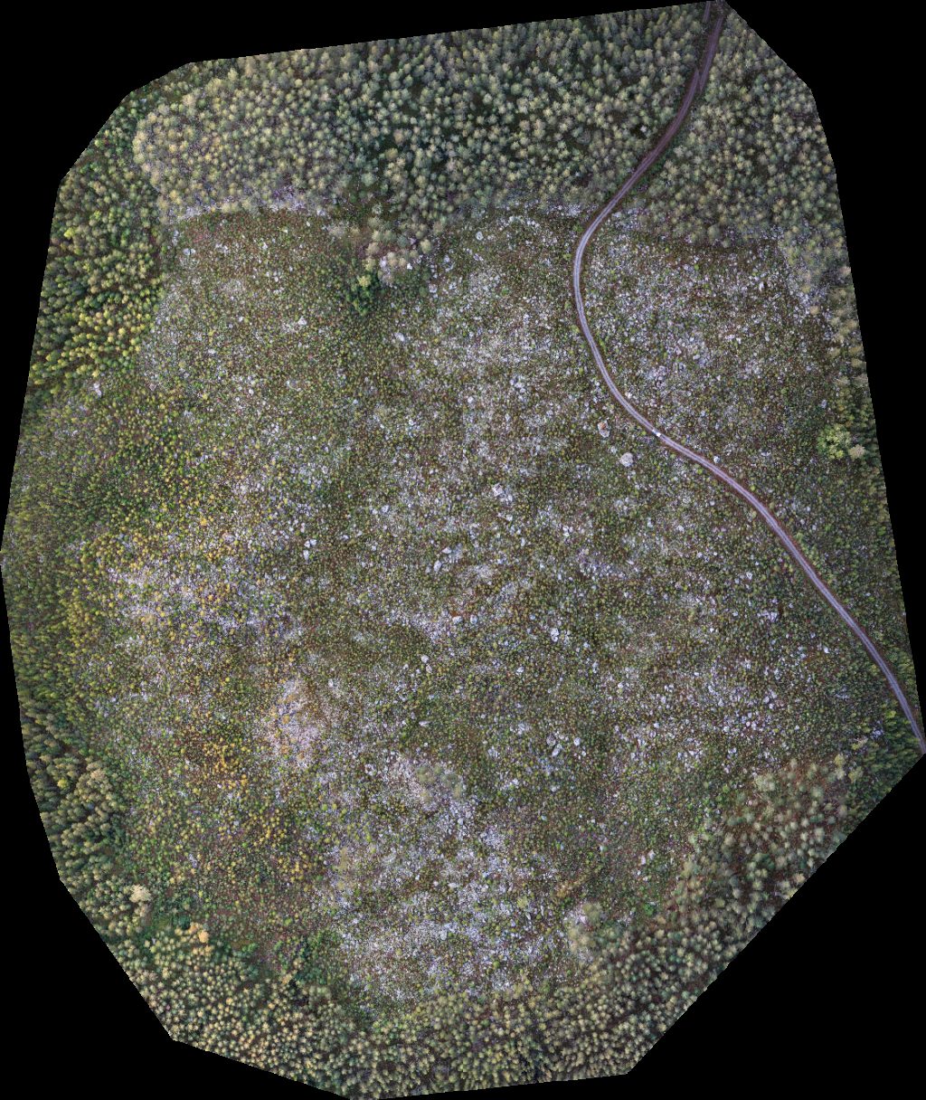 Thumbnail preview for Drone Map of Flugdammens Eros Landseer Kennel Bymella in Flugbo, Gävleborgs län, Sweden