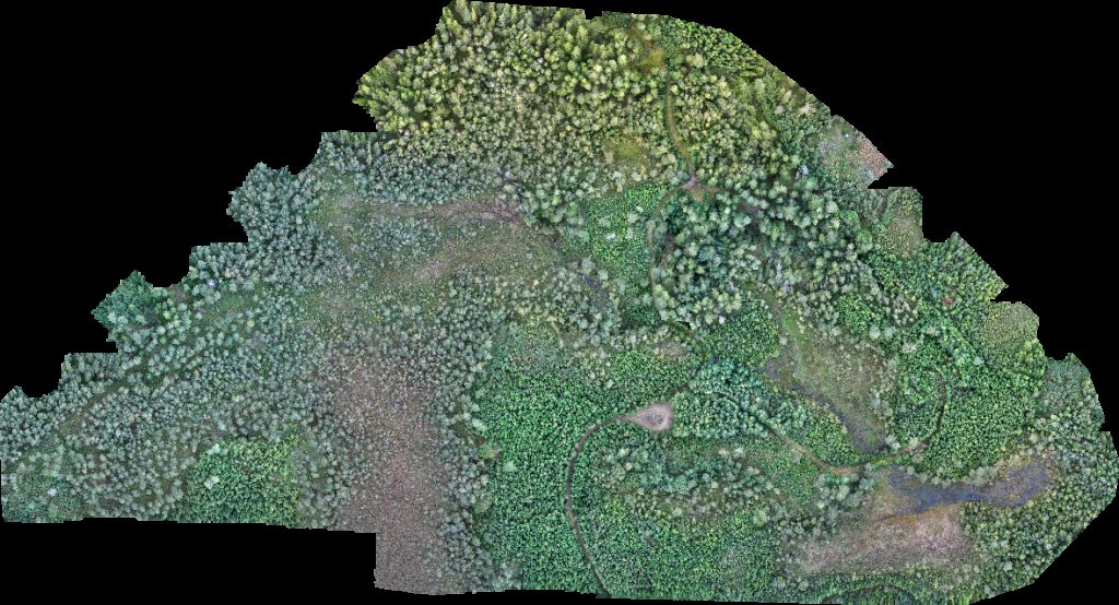 Thumbnail preview for Drone Map of Lurehus Alenäs Naturreservat in Hallands län, Sweden