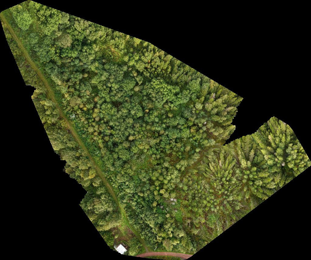 Drone map of Böle Krångede Bergvallens Stugby in väg 87 Aerial drone map in , Jamtland County, SE