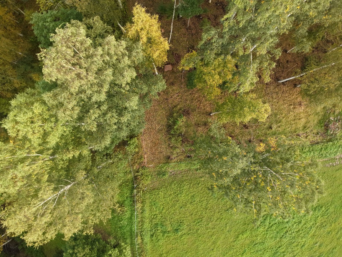 Drone 3d model of Böle Krångede Bergvallens Stugby in väg 87 Aerial drone 3d model in , Jamtland County, SE