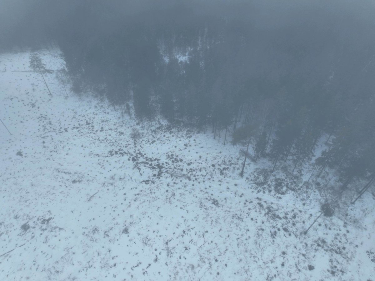 Drone 3d model of Laguna de Tres Amigos Parkering Vildmarksleden Härkeshult Aerial drone 3d model in , Vastra Gotaland County, SE