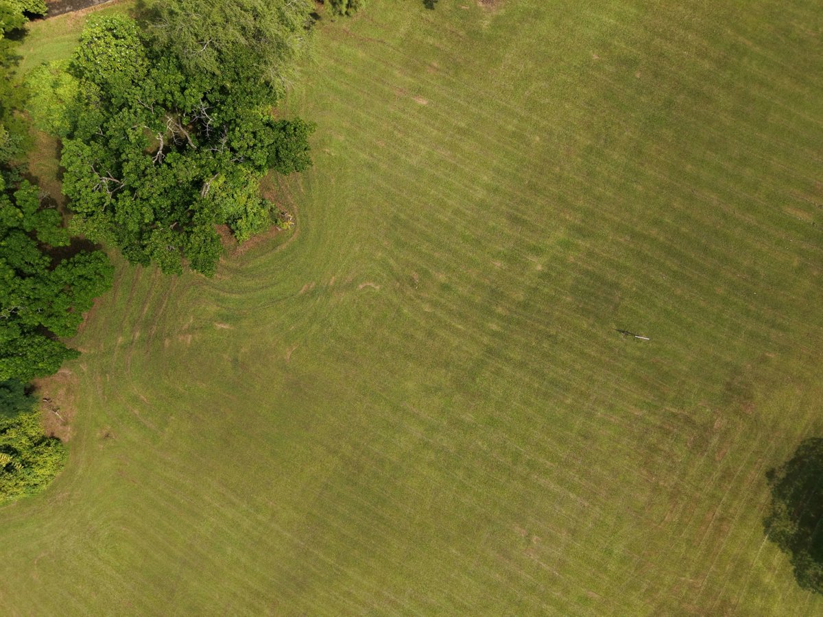 Drone 3d model of Dover Meadow Lily Pond in Queenstown Aerial drone 3d model in Singapore, Region, SG