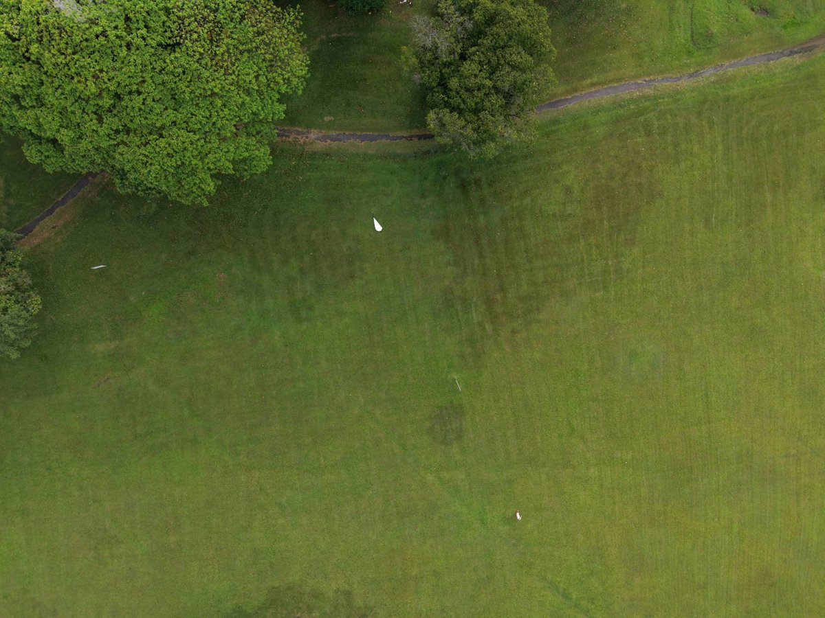 Drone 3d model of Dover Meadow Lily Pond in Queenstown Aerial drone 3d model in Singapore, Region, SG