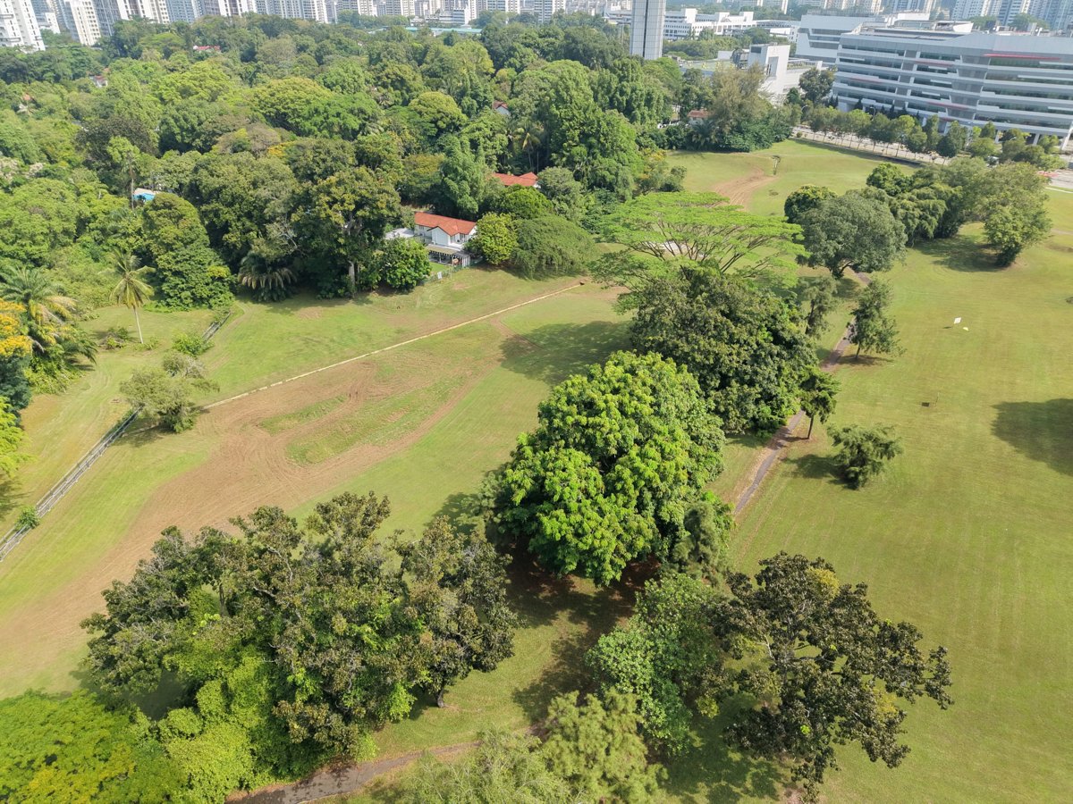 Drone 3d model of Dover Meadow Unmanned Aircraft Flying Area in Queenstown Aerial drone 3d model in Singapore, Region, SG