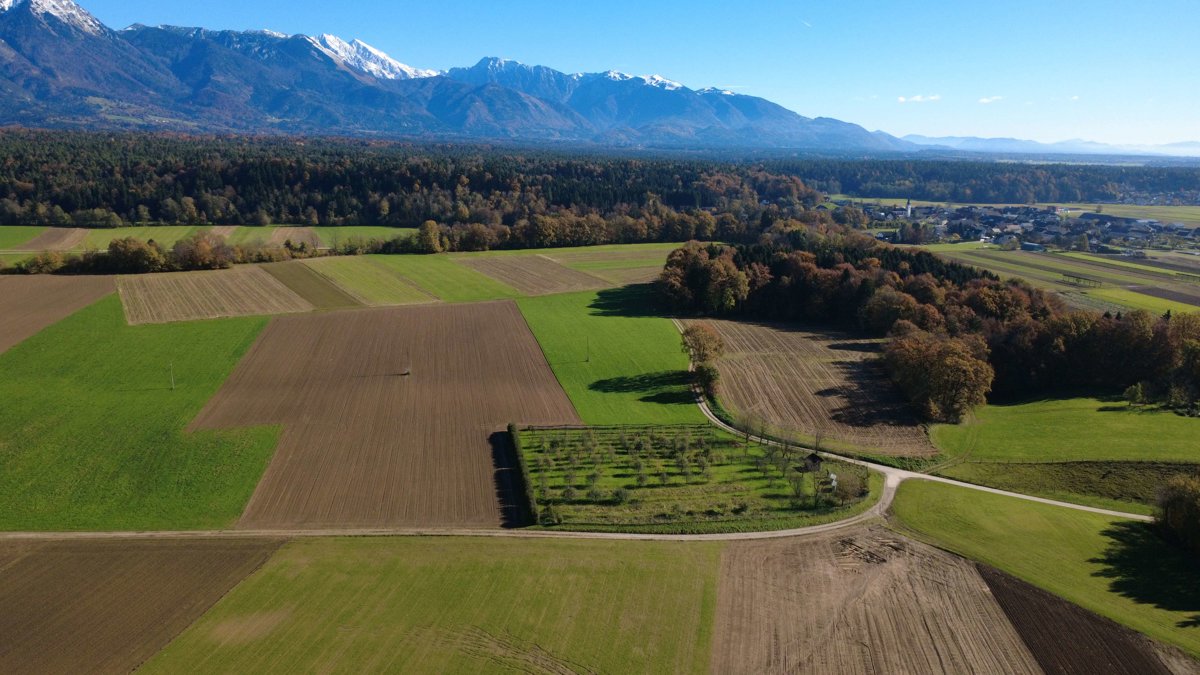 Drone 3d model of Silent Orchard RegioMarket in s p Aerial drone 3d model in , Kranj, SI