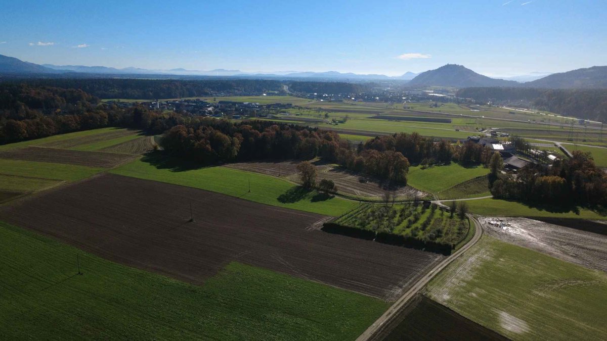 Drone 3d model of Silent Orchard RegioMarket in s p Aerial drone 3d model in , Kranj, SI