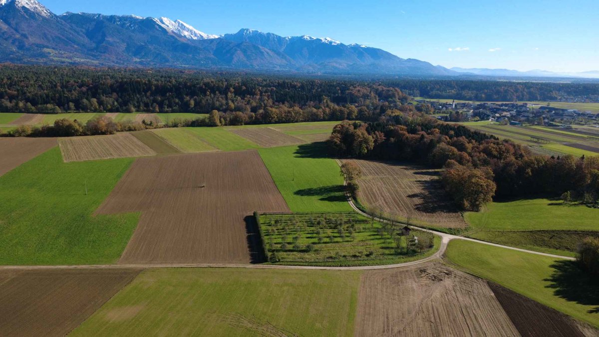 Drone 3d model of Silent Orchard RegioMarket in s p Aerial drone 3d model in , Kranj, SI