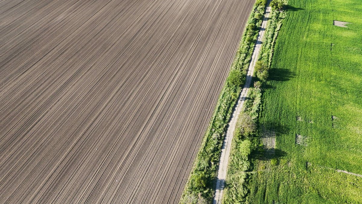 Drone 3d model of Workout Garden BlueKiwiClub in Alžbetin Dvor Aerial drone 3d model in Miloslavov, Bratislavsky Kraj, SK