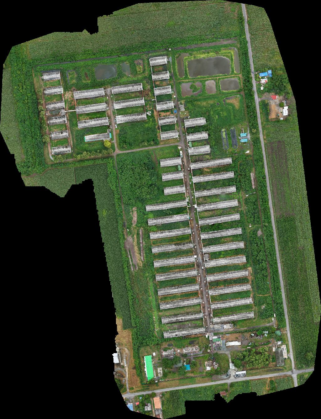 Thumbnail preview for Drone Map of Smartfamer ร้านเตี๋ยวเรือสยามโบราณ in Tambon Manao Wan, Chang Wat Lopburi, Thailand