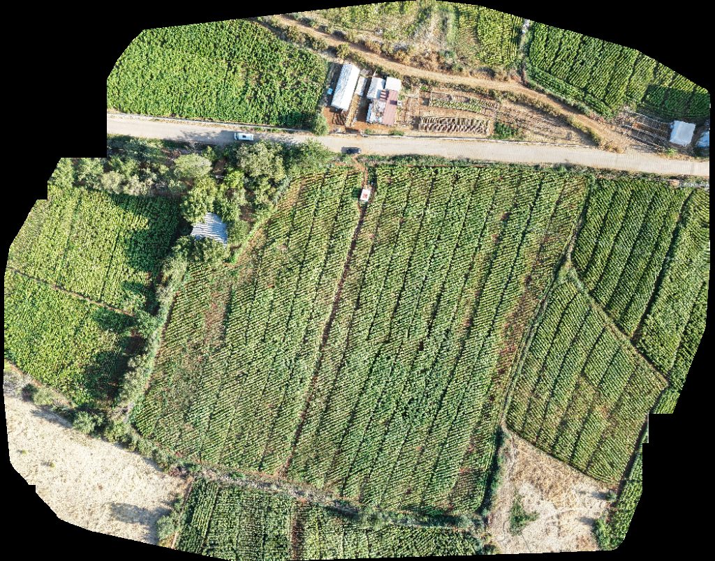 Drone map of EMİNKELEŞ MAHALLESİ Citlibahce Mosque Aerial drone map in Hazro, Diyarbak R, TR