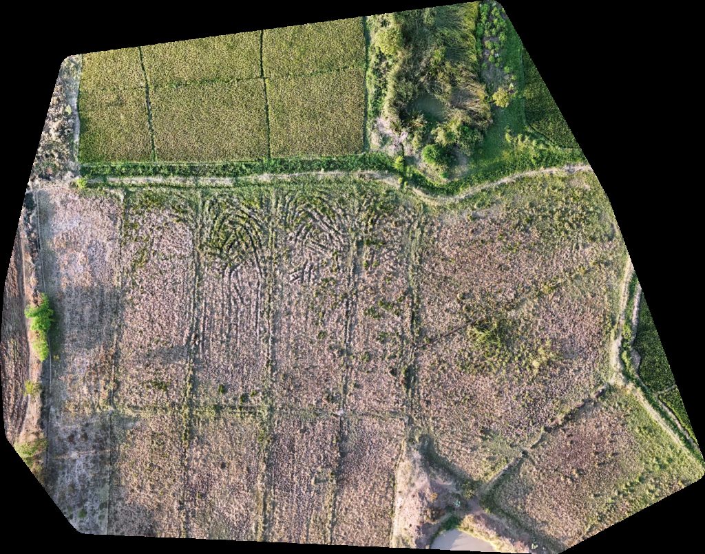 Drone map of Kwa Msele African Blackwood Conservation Project in secondary school Aerial drone map in Kindi, Kilimanjaro Region, TZ