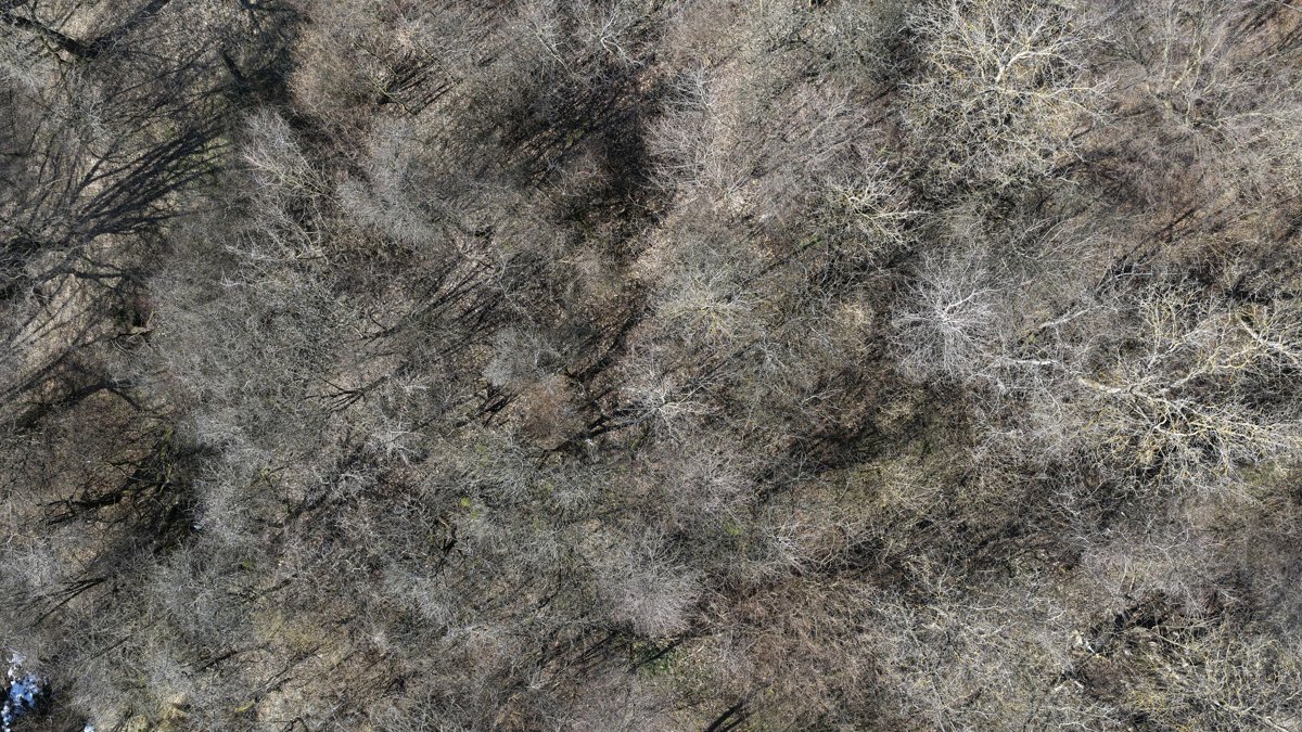 Drone 3d model of Нова Пошта Поштомат 40370 до 20 кг м Львів Львівська область Fudmils in Shevchenkivskyi District Aerial drone 3d model in L'viv, L Vivs Ka Oblast, UA